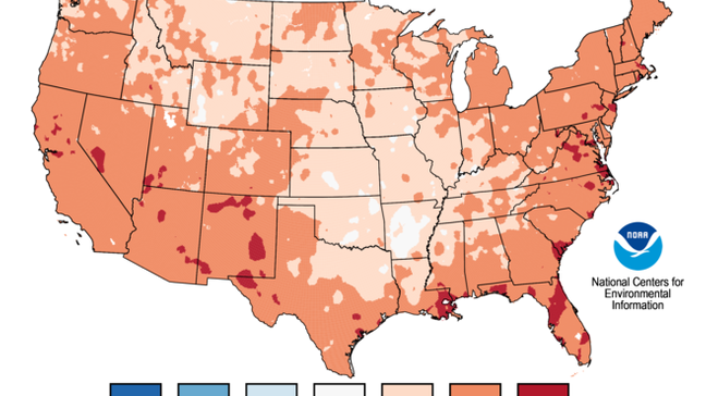 2020-temperature-trend.png